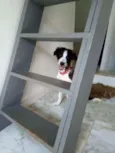 Ralf