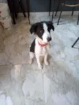 Ralf