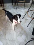 Ralf