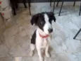 Ralf