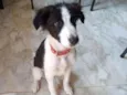 Ralf