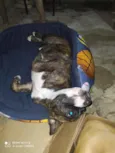 Não sei