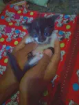Rubi