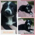 ARMANI