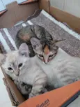 Sophie e Marie bbs