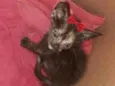 Minnie