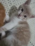 Fred
