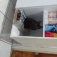 Dorinha