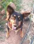 Malú