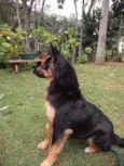 Malú