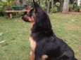 Malú