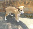 Bartho