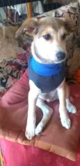 Bartho