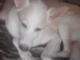 Barth e kiara
