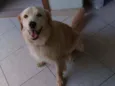 Luke