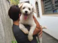 Branquinho