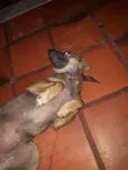 Chiquinha