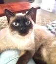 George 