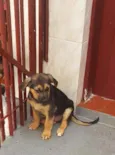 Bolt
