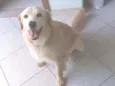 Luke