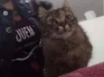 Mel