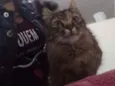 Mel