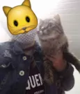 Mel