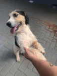 Didi