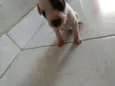 Ninas