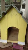 BOLINHA