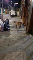 Não sei