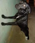 Bob