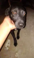 Bob