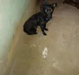 Bob