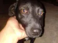 Bob