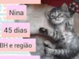 Nina