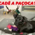 Paçoca