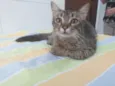 Pietra