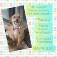Paçoca 