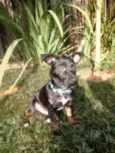 Bolt