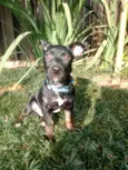 Bolt
