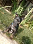 Bolt