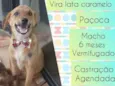 Paçoca 