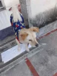 Chico