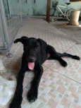 Nina