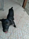 Nina