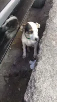 Mica