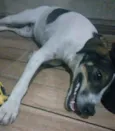 Paçoca