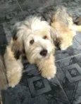 Nick