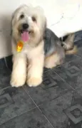 Nick